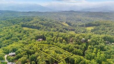 L 10/11 Bluebird Ridge Way, Sevierville, TN 37876 - photo 3