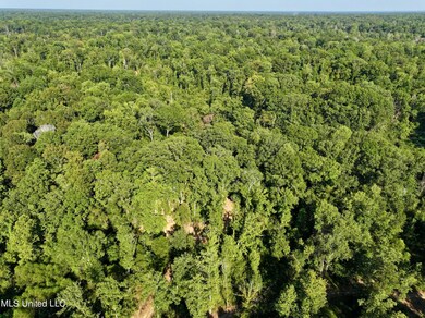 dji_fly_20240826_201914_0006_17248584938