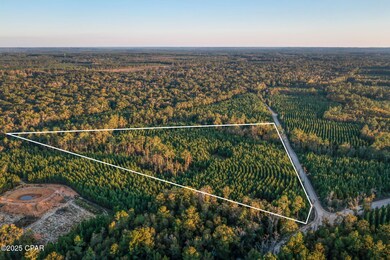 1503 Open Creek Rd unit North Lot, Chipley, FL 32425 - photo 4