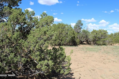 10 3044, Concho, AZ 85924 - photo 6