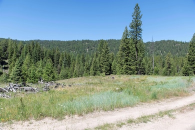 TBD 33 Clear Creek Rd, Cascade, ID 83611 - photo 2