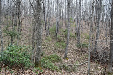 DSC_1055