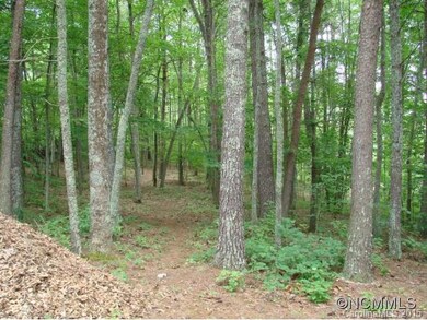 Path to House Site