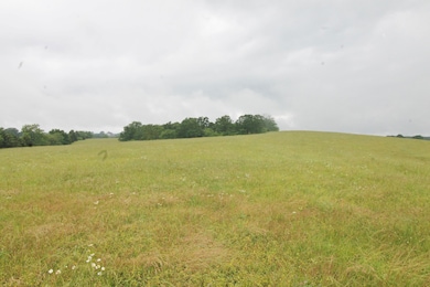 16290 Maries Road 303, Vienna, MO 65582 - photo 6