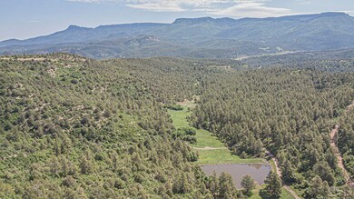 33089 Lodgepole Trace, Trinidad, CO 81082 - photo 6
