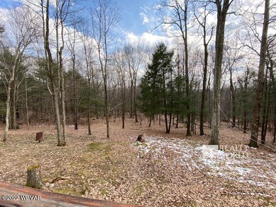 525 Mountainview Rd, Muncy, PA 17756 - photo 6