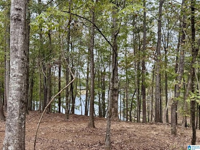 0 Dancing Waters Way, Wedowee, AL 36278 - photo 3