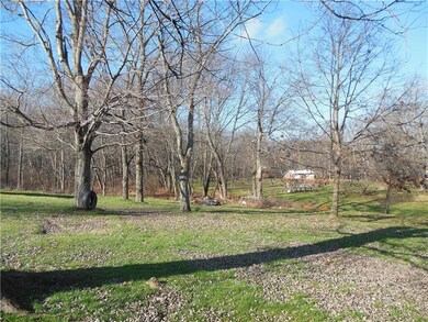 View of the back yard