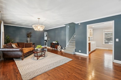 131 W Chicago Ave, Downers Grove, IL 60515 - photo 4