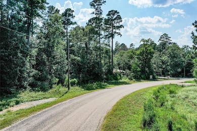 0 Red Hawk Rd unit 24641691, Huntsville, TX 77340 - photo 3