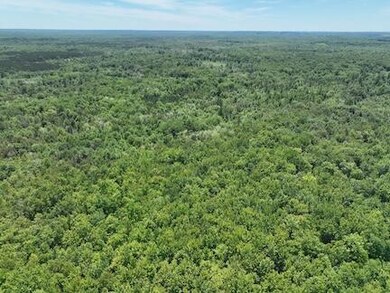 000 V/L 13 Mile Rd unit Par D, Bitely, MI 49309 - photo 7