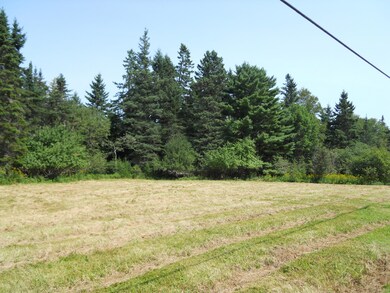 Meadow