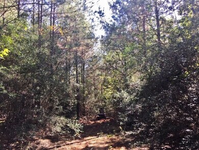 000 Candy Ln, McComb, MS 39648 - photo 3