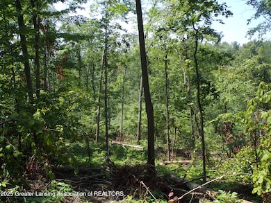 0 S Lacey Lake Rd unit 289887, Bellevue, MI 49021 - photo 7