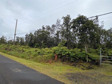 Property is located to the left of the gate to the electric pole.