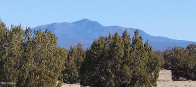 223 N Picacho Butte Dr, Ash Fork, AZ 86320 - photo 7