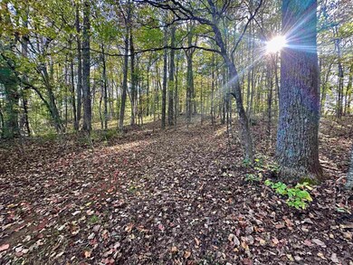 TBD Shelor Rd, Meadows of Dan, VA 24120 - photo 3