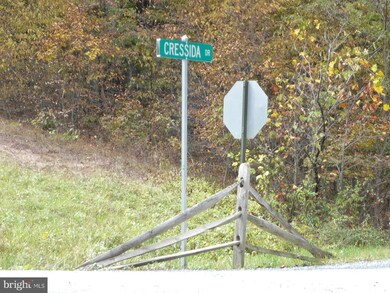 0 Grimaldi Way unit 1000552171, Gerrardstown, WV 25420 - photo 5