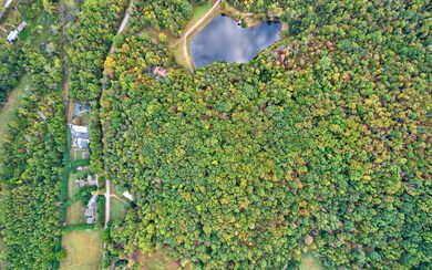 Additional View