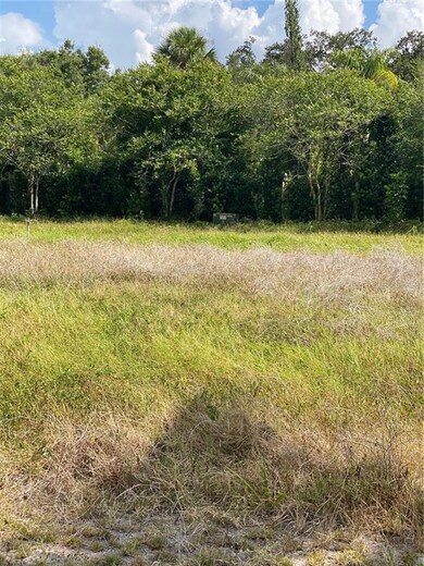 0 Palm Bluff St, Clearwater, FL 33755 - photo 2