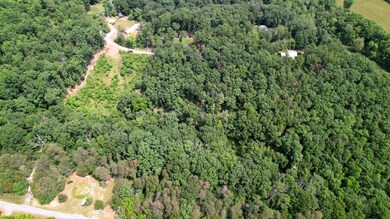 Lot 40 Off N View Dr, Stanley, VA 22851 - photo 4