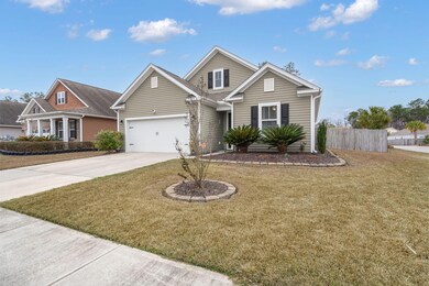 Front & side yard