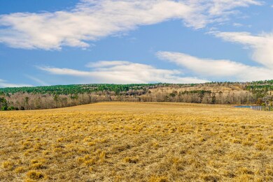 MEGHANNPADGETT_Tod's Hill Parcels-5