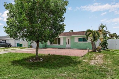 FRONT OF HOUSE - LARGE TREE
