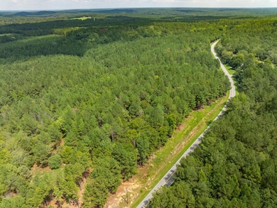 0 Neal Shoals Rd, Union, SC 29379 - photo 3