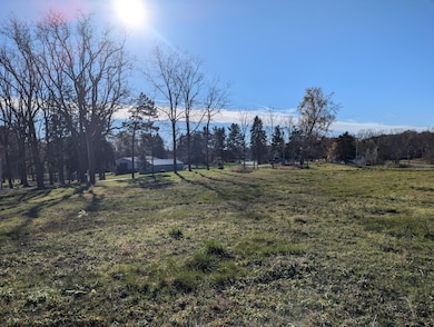 Unit 2 Hollyhock Dr, Manitou Beach-Devils Lake, MI 49253 - photo 4