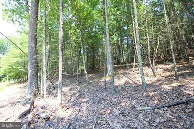 Lot 14 Slate Rock Pass Rd, Wardensville, WV 26851 - photo 4