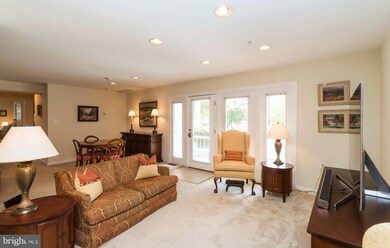 1002 Primrose Rd, Annapolis, MD 21403 - photo 6