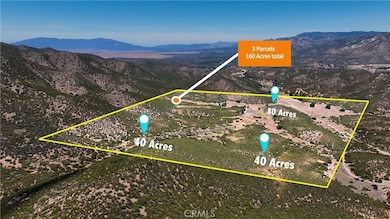 36255 Grapevine Canyon Rd, Ranchita, CA 92066 - photo 6