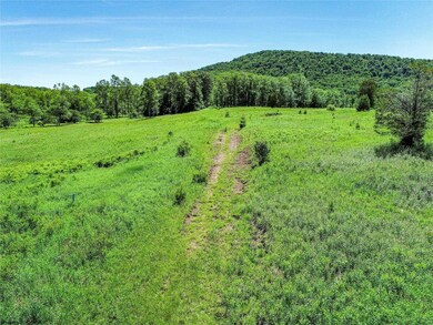 00 Mountainview Dr, Davis, WV 26260 - photo 4