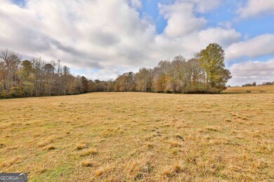 LOT 6 Mask Road - Hanner's Farm S, Brooks, GA 30205 - photo 4