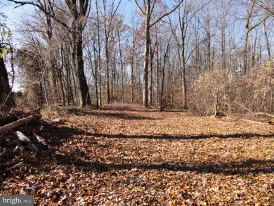 0 Mount Gilead Rd unit 1000602785, Leesburg, VA 20175 - photo 3