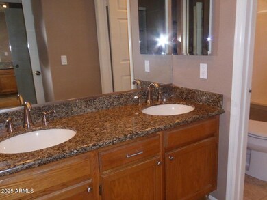 JT master bath vanity