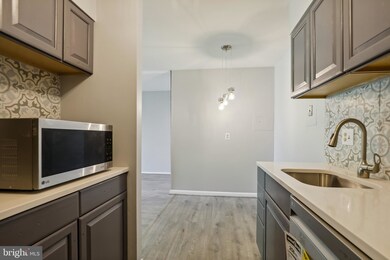 2309 Greenery Ln unit T-2-1, Silver Spring, MD 20906 - photo 5