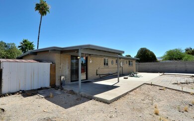 Large Yard