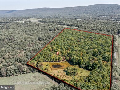 584 Pine Grove Rd, Berkeley Springs, WV 25411 - photo 5