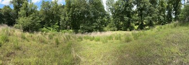 92 County Road 1032, Oxford, MS 38655 - photo 2