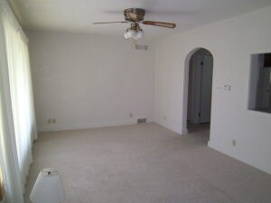 Large Living Room