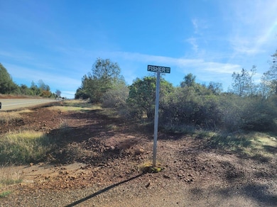 093140028 W Hwy 44 - West Bound Side Hwy, Millville, CA 96088 - photo 5