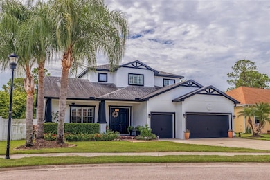 205 Bengal Cir, Oldsmar, FL 34677 - photo 2