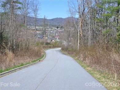 36.35 ACRES Half Moon Trail, Hendersonville, NC 28792 - photo 3