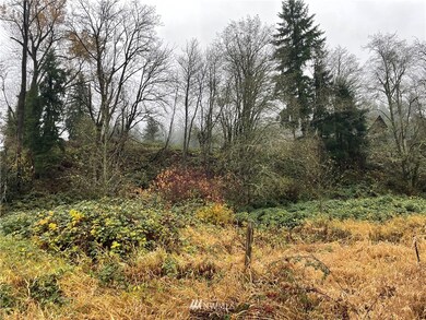 unlisted-address, Orting, WA 98360 - photo 6