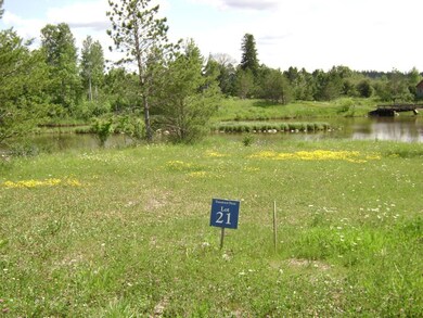 80048 Tamarack, Tower, MN 55790 - photo 2