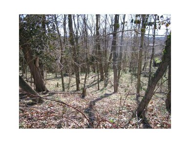 Land/Lot.