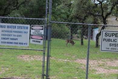 25915 Fleet Garden, San Antonio, TX 78255 - photo 3