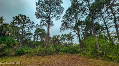 Land view 2